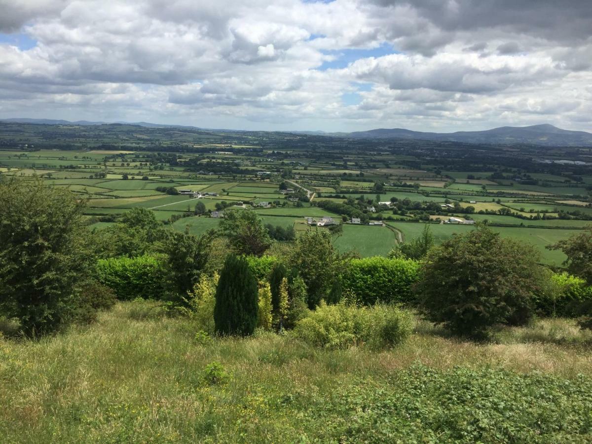Carey'S Bar & Farmhouse Kilkenny Border Oldleighlin Buitenkant foto