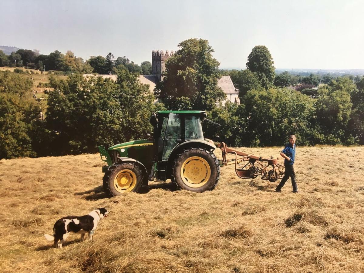 Carey'S Bar & Farmhouse Kilkenny Border Oldleighlin Buitenkant foto
