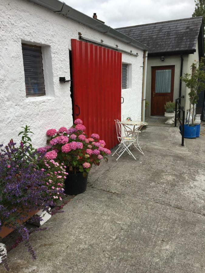 Carey'S Bar & Farmhouse Kilkenny Border Oldleighlin Buitenkant foto